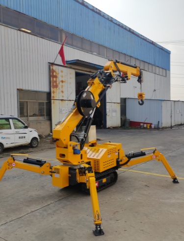 Denmark 1 Ton Spider Crane Transaction Case