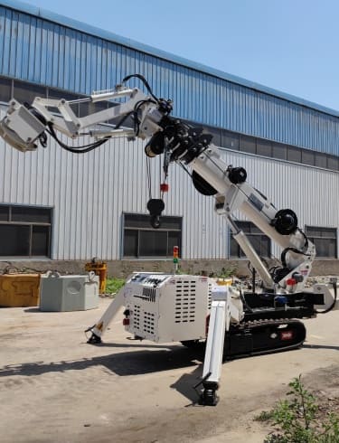 Serbia 1.2 Ton Mini Spider Crane Transaction Case